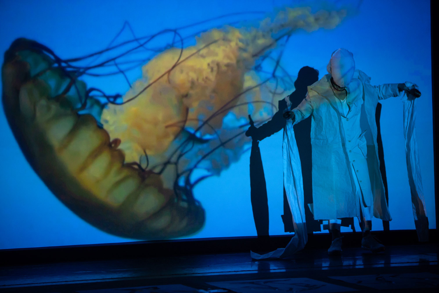 Moving Off the Land, 2016/2018, Cowell Theater, Fort Mason Center for Arts & Culture, San Francisco, 2019. Credit: Fort Mason Center for Arts & Culture/Justine Oliphant
