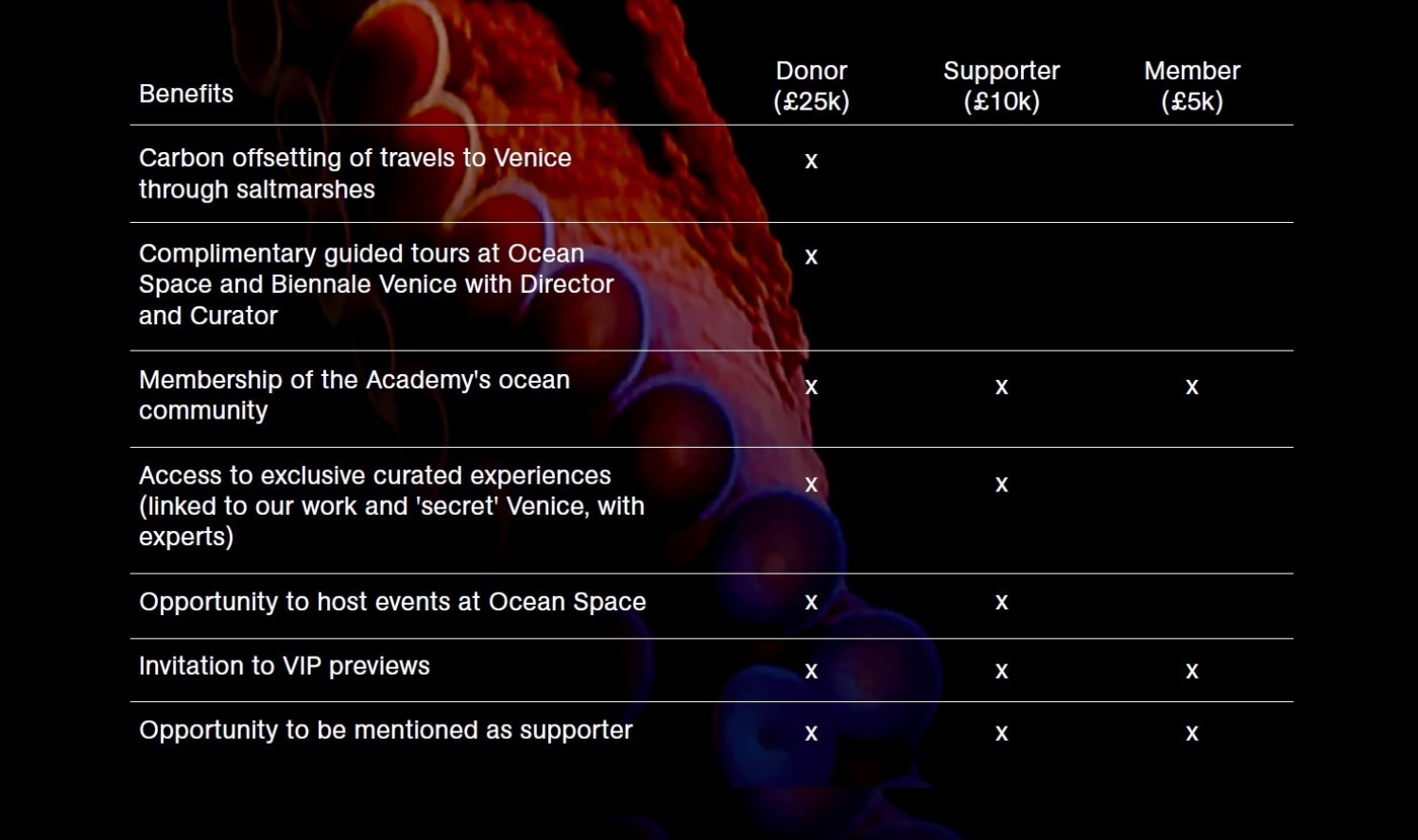 Opportunità di membership Ocean Space